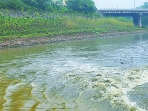 顺平污水清运多少钱